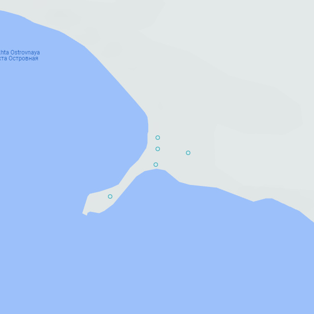 Google Map Points Object Detection Dataset by IgroGood