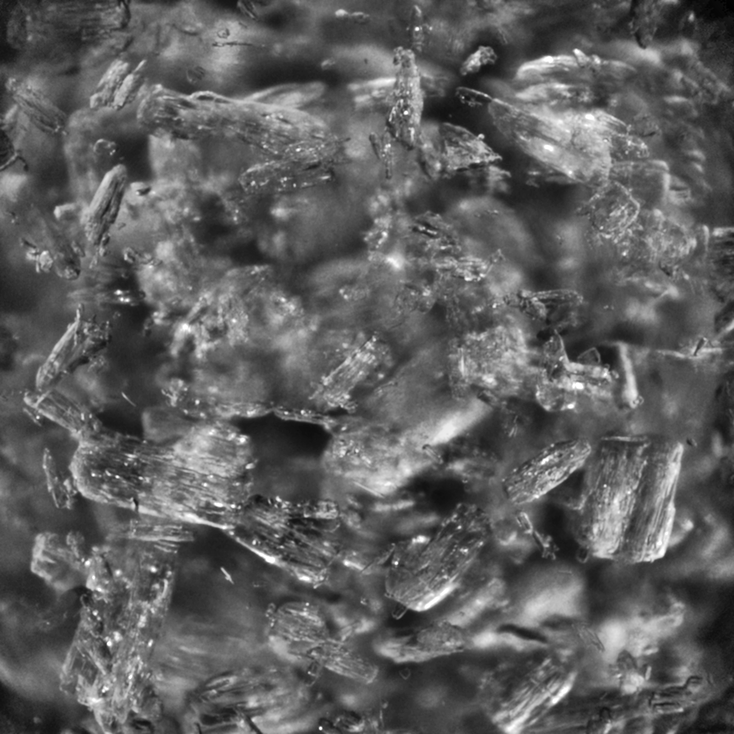 orbis dataset orbis dataset