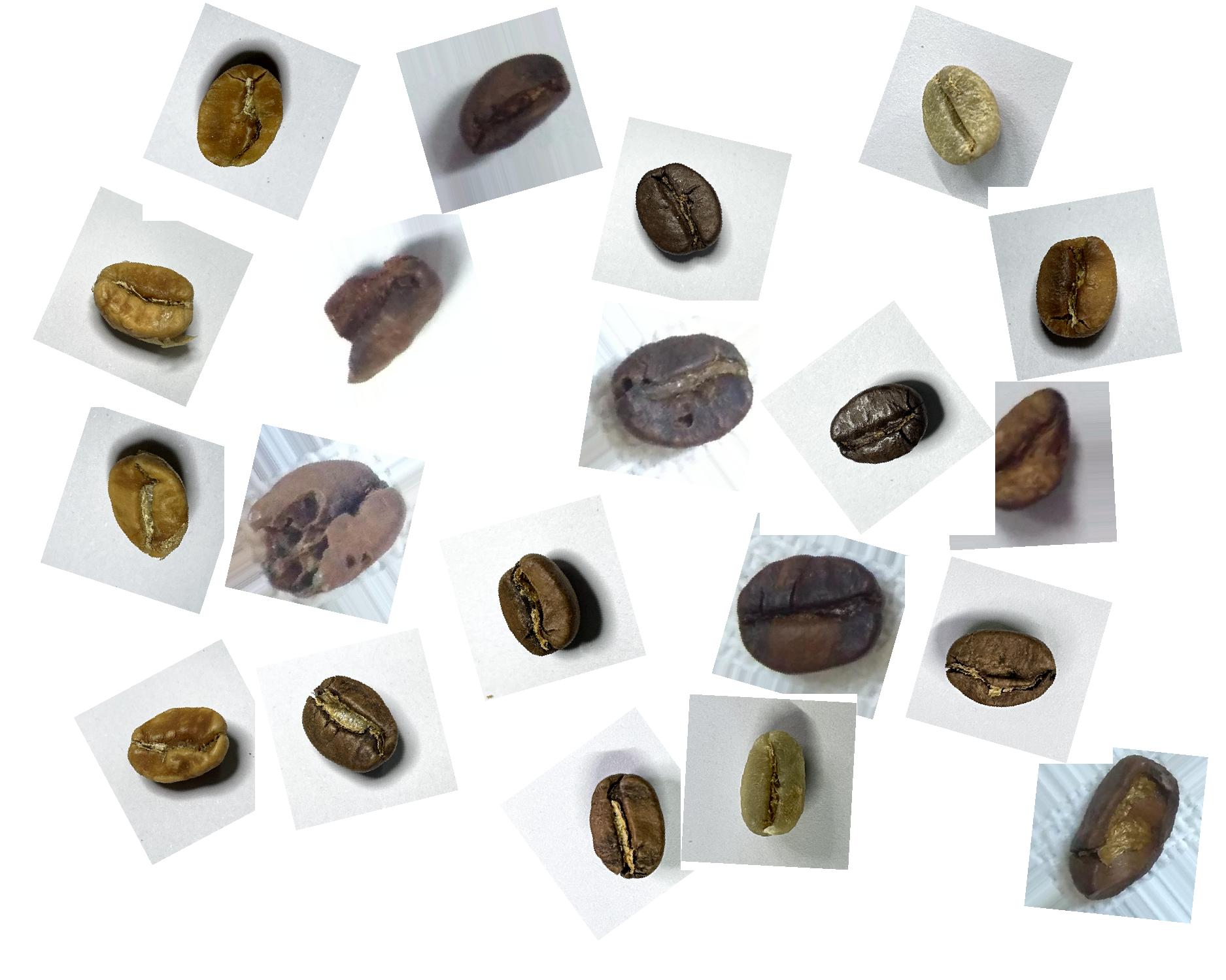 Roasted Coffee Bean 300 Object Detection Dataset and PreTrained Model