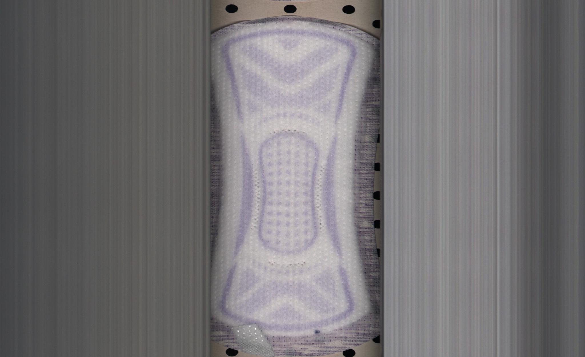 kcc Instance Segmentation Dataset and PreTrained Model by NewOcean