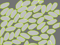 Annotation Visualization