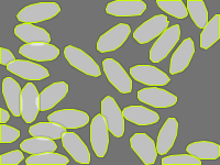 Annotation Visualization
