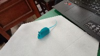 Dataset Image