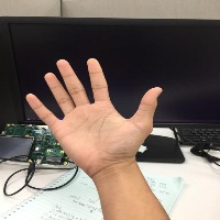 Dataset Image