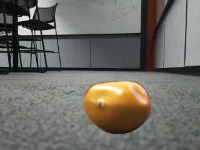 Dataset Image
