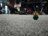 Dataset Image