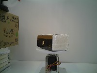Dataset Image