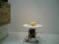 Dataset Image