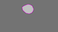Annotation Visualization