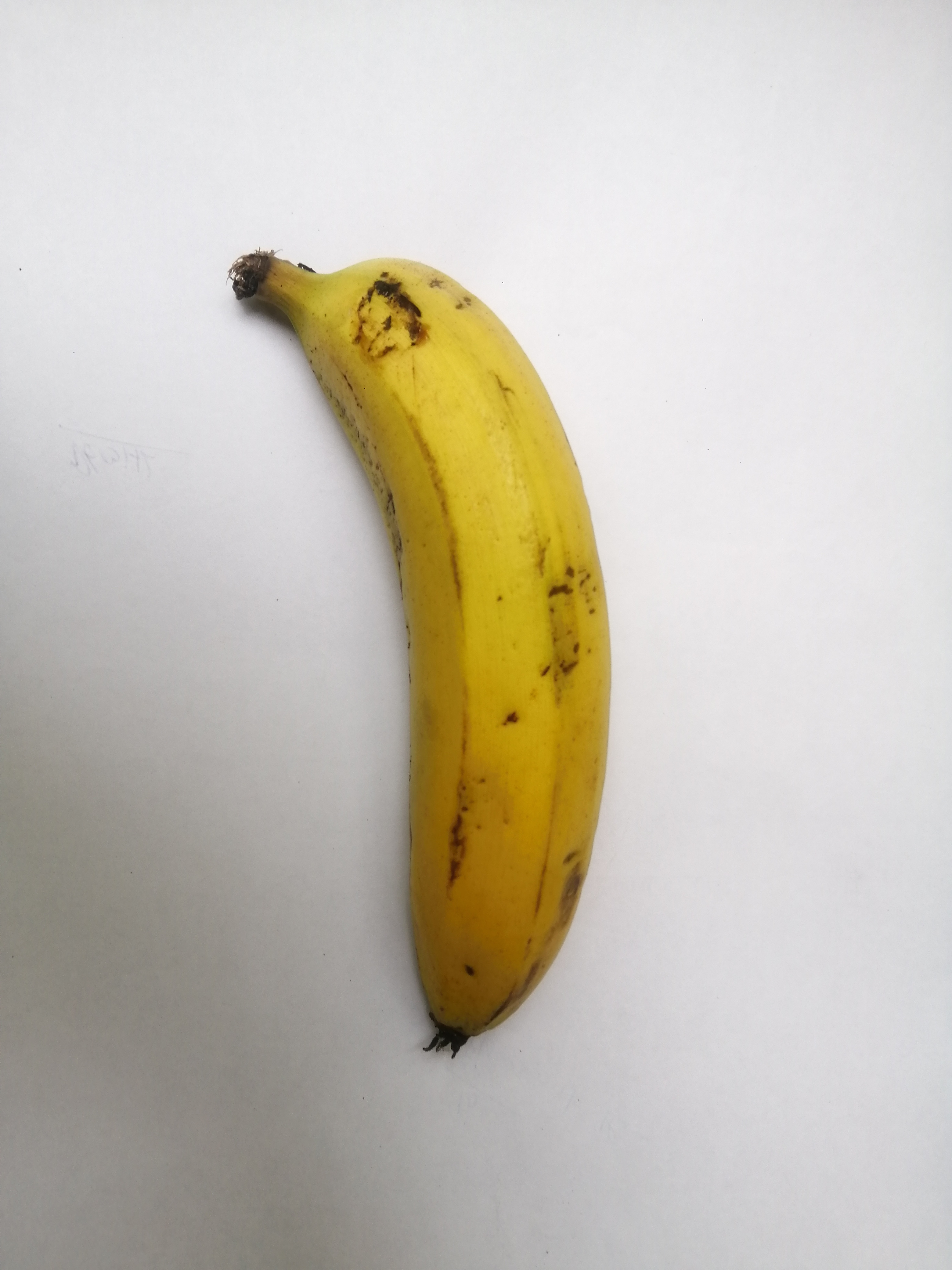 banana classification Classification Dataset by University of Vavuniya