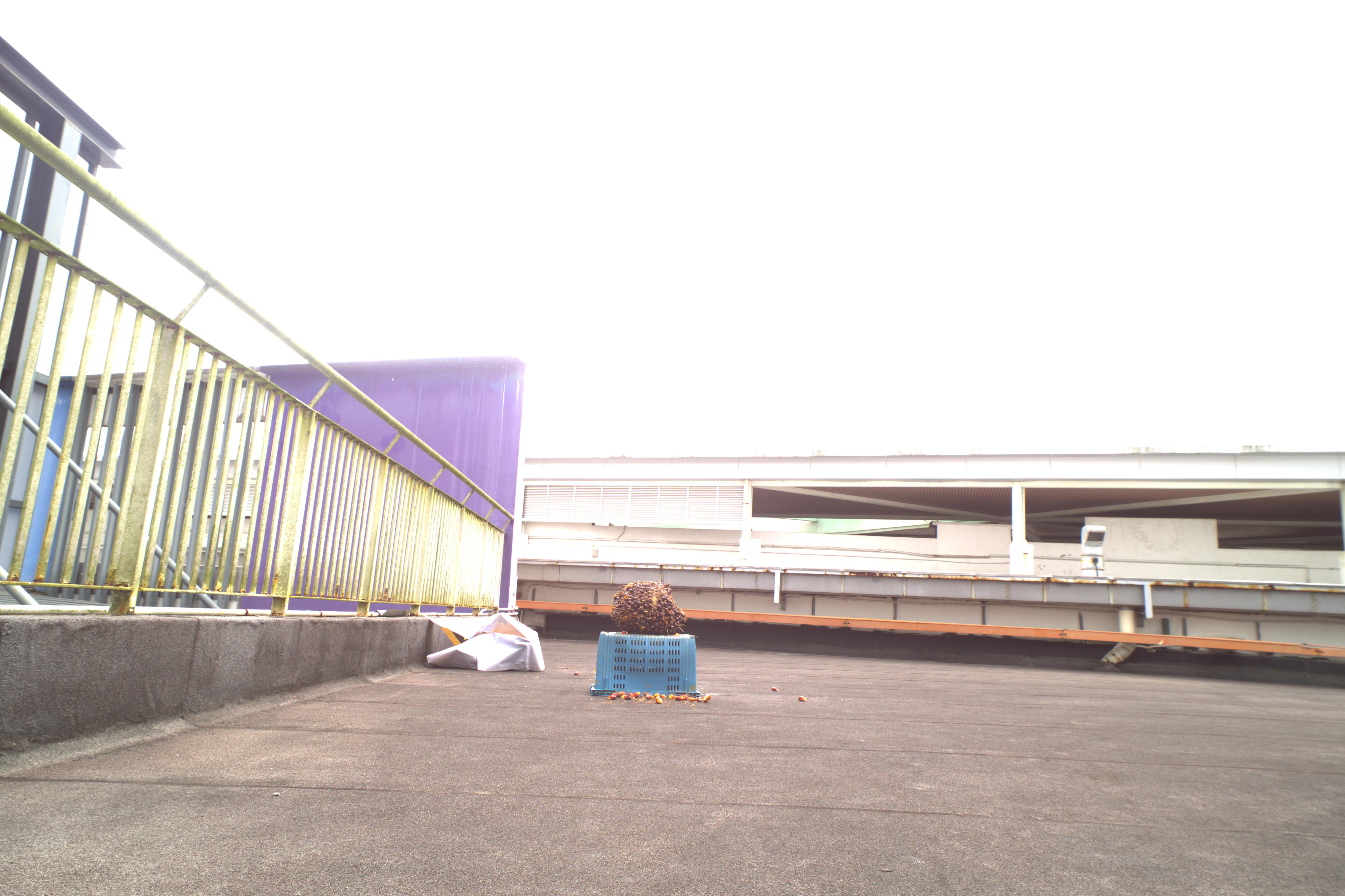 defect_appearance Object Detection Dataset by PalmOilv4m4