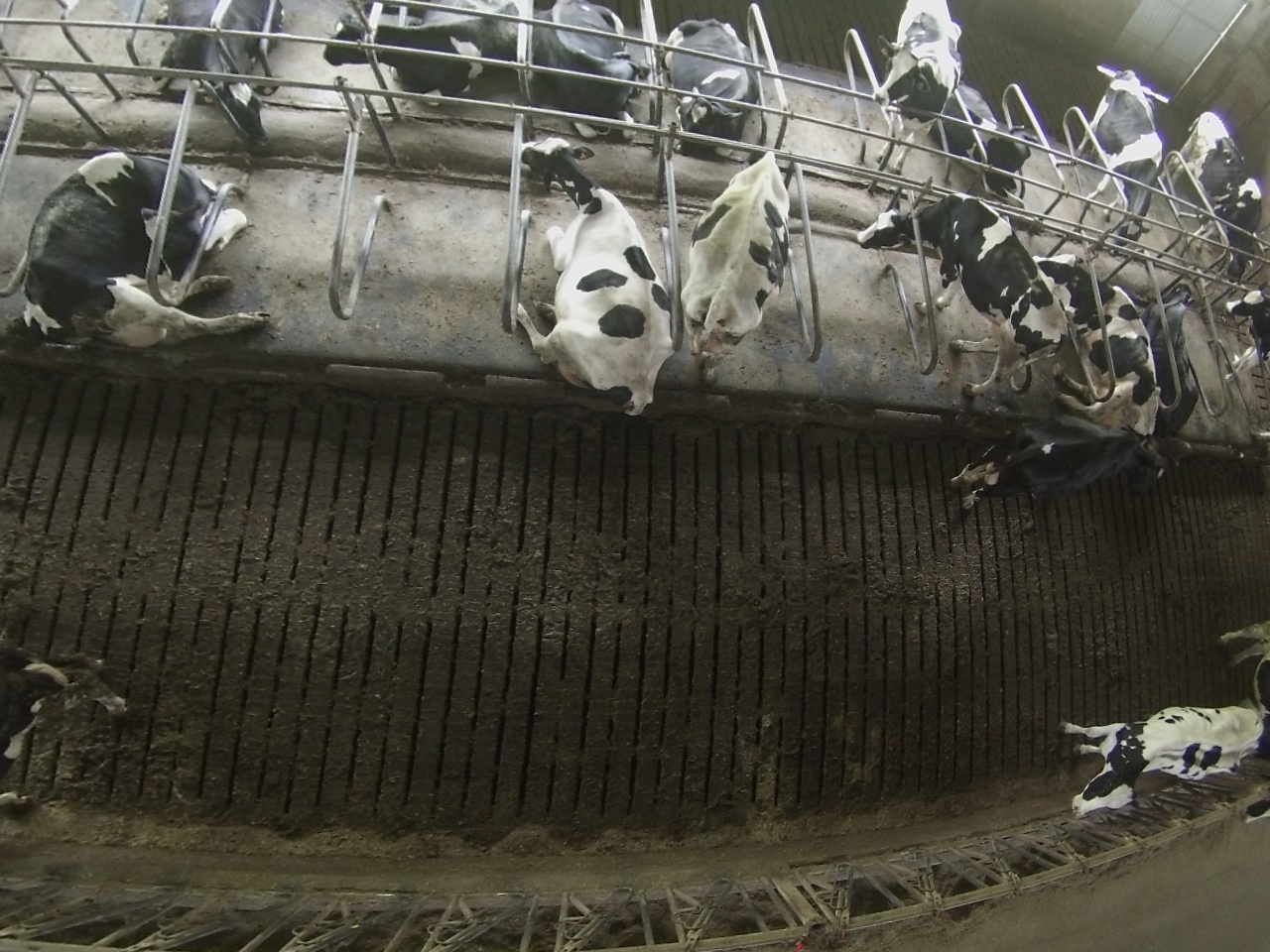 Pablo Miranda Roboflow Universe