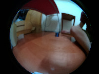 Dataset Image