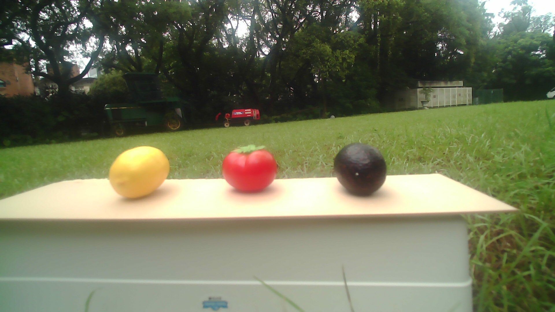 all_windy Object Detection Dataset and Pre-Trained Model by Fruit Detection