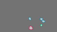 Annotation Visualization