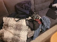Dataset Image