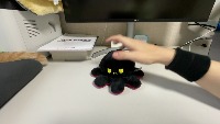Dataset Image