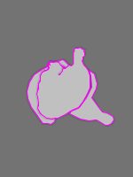 Annotation Visualization