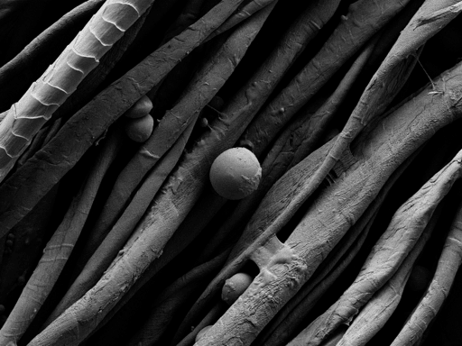 Microcapsulas en textil Instance Segmentation Dataset and Pre-Trained ...