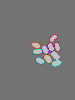 Annotation Visualization