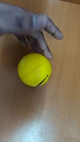 Dataset Image