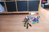 Dataset Image