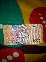 Dataset Image