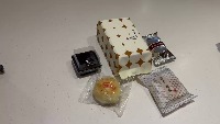 Dataset Image