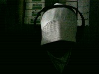 Dataset Image