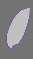 Annotation Visualization