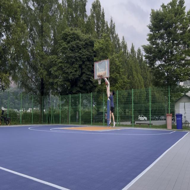 BasketBall Object Detection Dataset by test datset