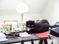 Dataset Image