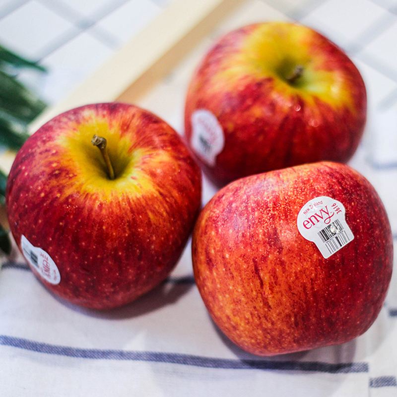 fruit Object Detection Dataset and PreTrained Model by js1999