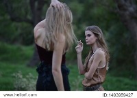Dataset Image
