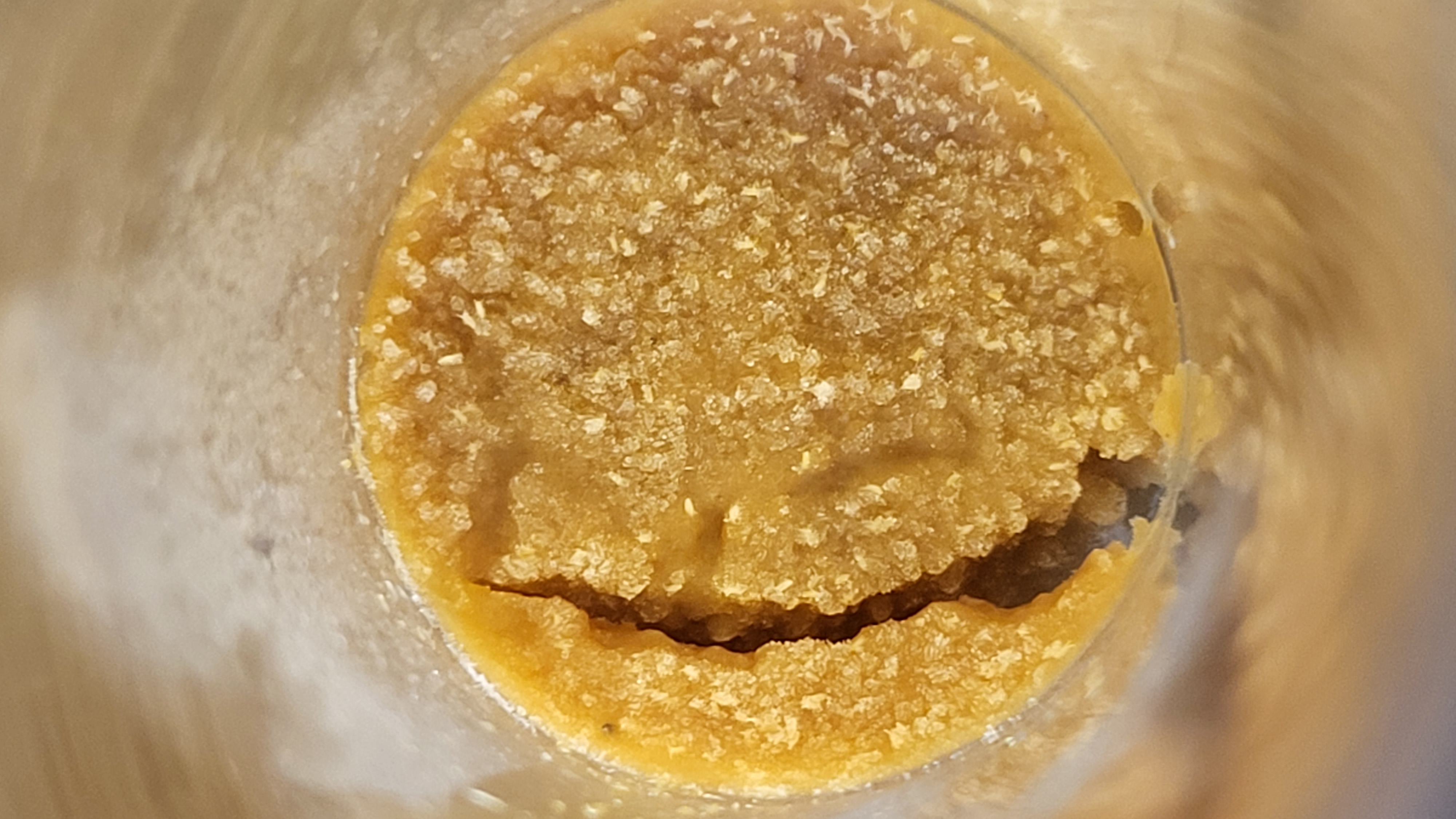 fly eggs Roboflow Universe