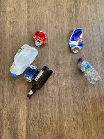 Dataset Image