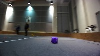 Dataset Image