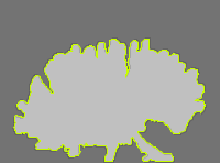 Annotation Visualization