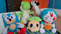 Dataset Image