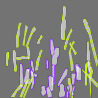 Annotation Visualization