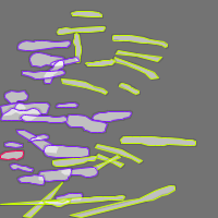 Annotation Visualization