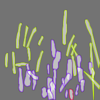 Annotation Visualization