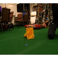 Dataset Image