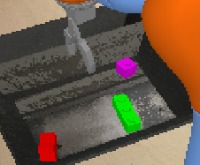 Dataset Image
