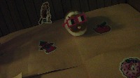 Dataset Image