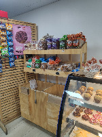 Dataset Image