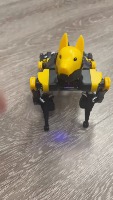 Dataset Image