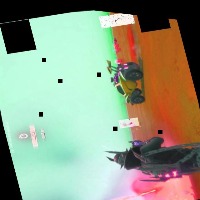Dataset Image