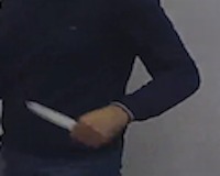 Dataset Image