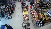 Dataset Image
